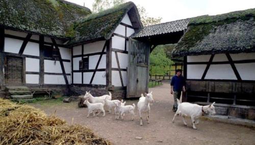 Ländliche Idylle im Museum? Foto: © Hans-Theo Gerhards__LVR