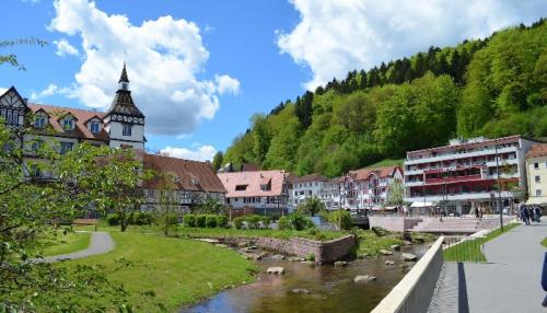 Kurpark Mündungsbecken. Foto: Stadt Bad Herrenalb / Rick Eichner