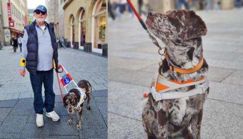 Mit Duffy fühlt sich Klaus Hermann Klostermann selbst in Kölns Innenstadt sicher. Fotos: Sabrina Steiger