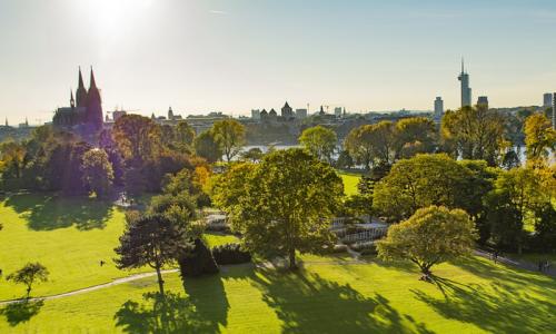 Grüne Stadt Köln. Foto: Valdas Miskinis / Pixabay