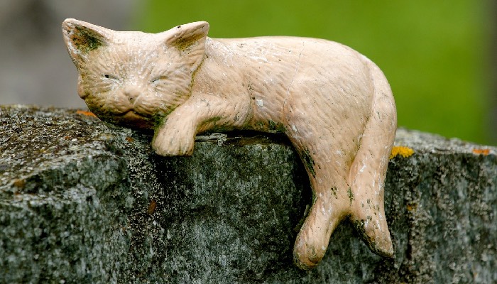 Es bleibt die Erinnerung. Foto: Erich Röthlisberger / Pixabay