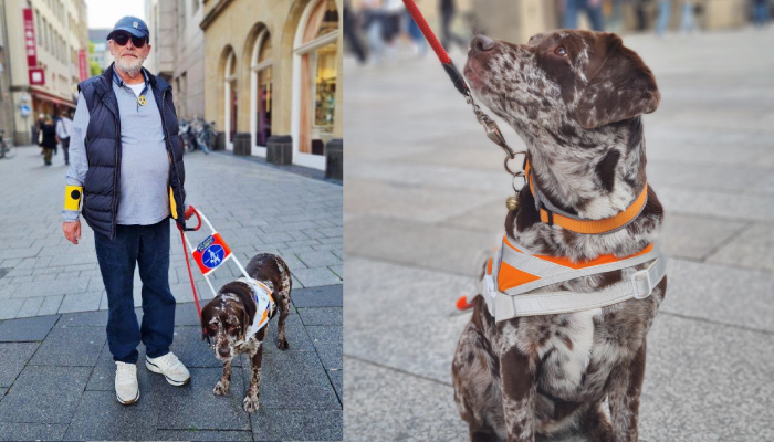 Mit Duffy fühlt sich Klaus Hermann Klostermann selbst in Kölns Innenstadt sicher. Fotos: Sabrina Steiger